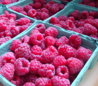 Raspberries