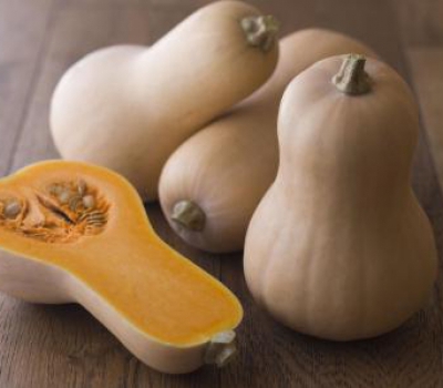 Squash - Butternut