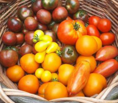 Heirloom Tomatoes