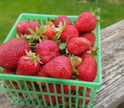 Strawberries