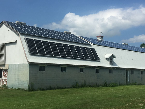 Danbrie Farms is working to transition the farm to off-grid power sources and currently has 23.5kw solar panels generating clean energy from our barn roof!