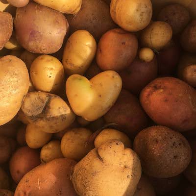 Potatoes